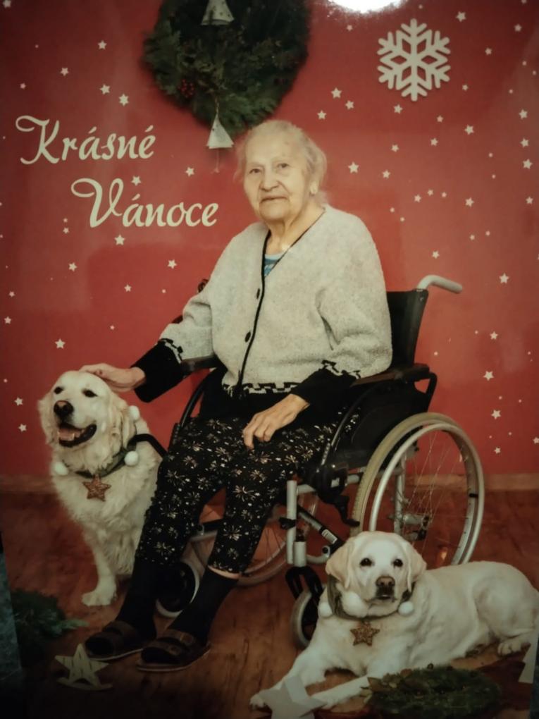 Věra Vitvarová přeje krásné Vánoce 